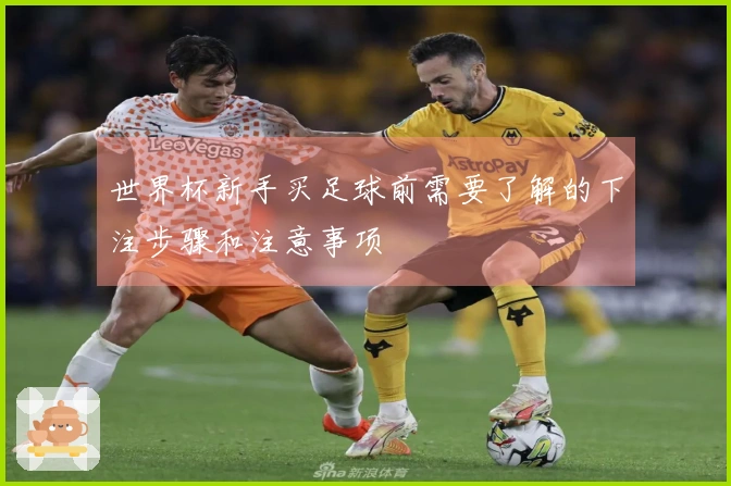 世界杯新手买足球前需要了解的下注步骤和注意事项