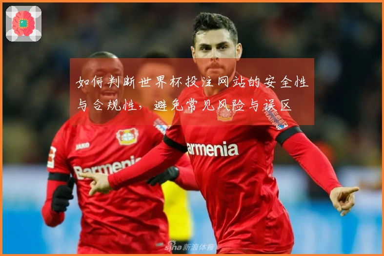 如何判断世界杯投注网站的安全性与合规性，避免常见风险与误区