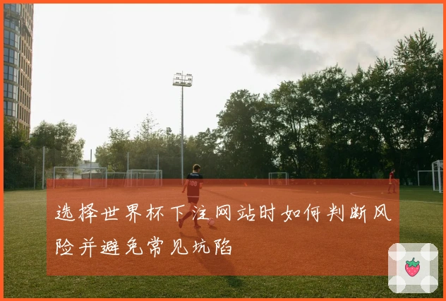 选择世界杯下注网站时如何判断风险并避免常见坑陷