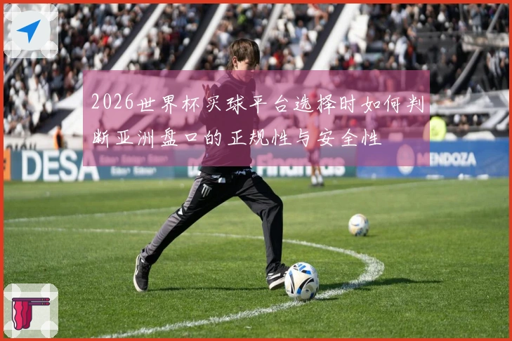 2026世界杯买球平台选择时如何判断亚洲盘口的正规性与安全性