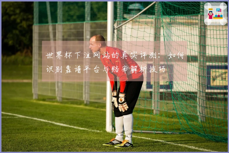 世界杯下注网站的真实评测：如何识别靠谱平台与赔率解析技巧