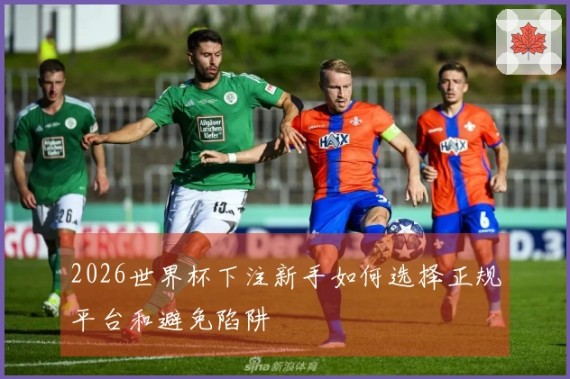 2026世界杯下注新手如何选择正规平台和避免陷阱