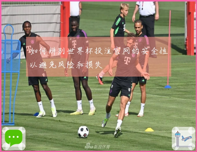如何辨别世界杯投注官网的安全性以避免风险和损失