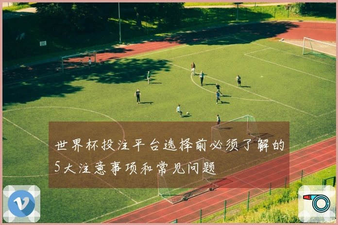世界杯投注平台选择前必须了解的5大注意事项和常见问题