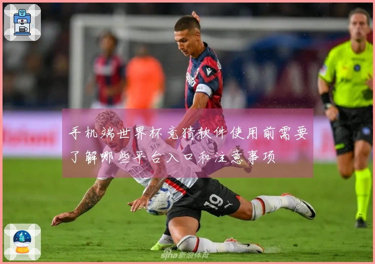 手机端世界杯竞猜软件使用前需要了解哪些平台入口和注意事项