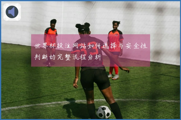 世界杯投注网站如何选择与安全性判断的完整流程分析