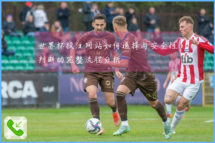 世界杯投注网站如何选择与安全性判断的完整流程分析